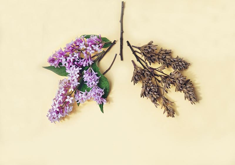 dra-flavia-alvares-pneumologia-sobre-5